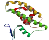 Glutathione S Transferase Mu 1 (GSTm1)