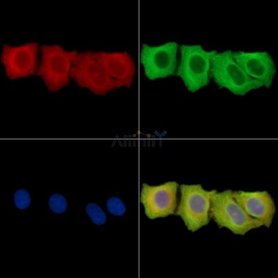 Валидация Affinity DF14840 - 10967