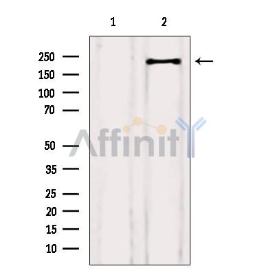 Валидация Affinity AF6279 - 3534