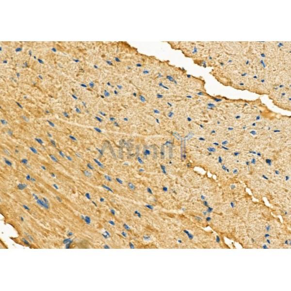 Валидация Affinity DF6634 - 18105