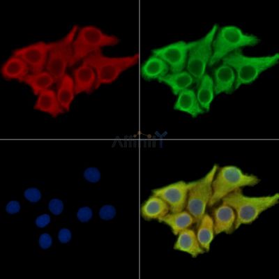 Валидация Affinity DF14045 - 9820