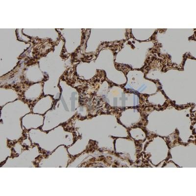 Валидация Affinity AF6488 - 3819