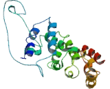 Family With Sequence Similarity 134, Member B (FAM134B)