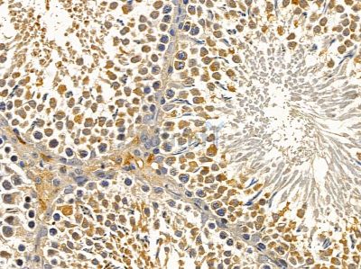 Валидация Affinity DF13090 - 7977