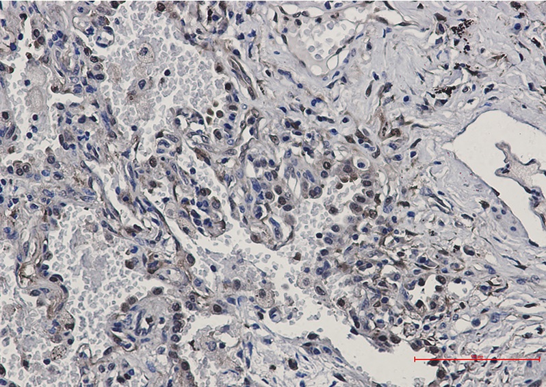 Валидация AssayVector ARM2374(4155)