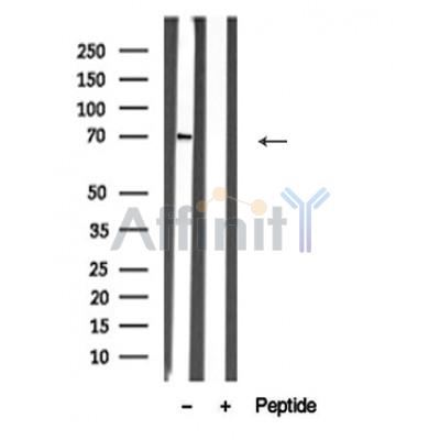 Валидация Affinity AF4763 - 2382