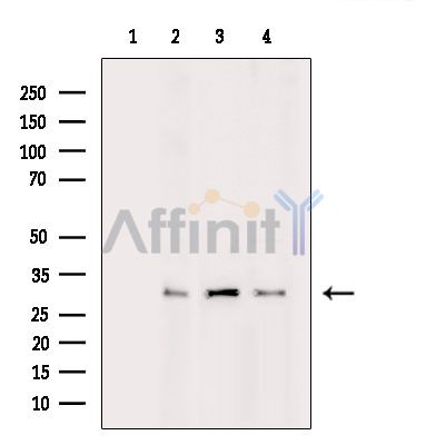 Валидация Affinity DF15764 - 12240