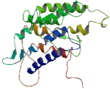Taste Receptor Type 2 Member 5 (TAS2R5) Taste Receptor Type 2 Member 5 (TAS2R5)