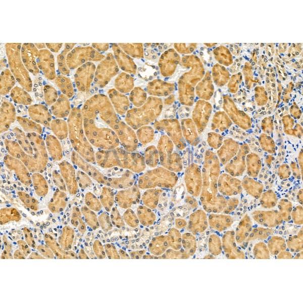 Валидация Affinity DF8471 - 20351