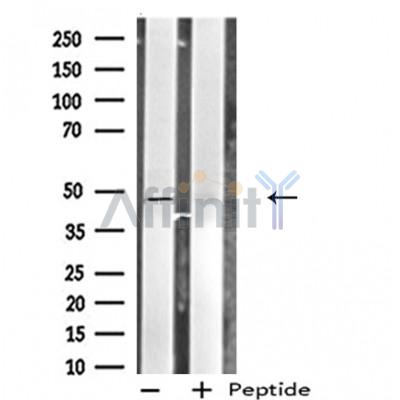 Валидация Affinity DF4854 - 16626