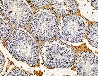 Валидация Affinity DF14975 - 11176