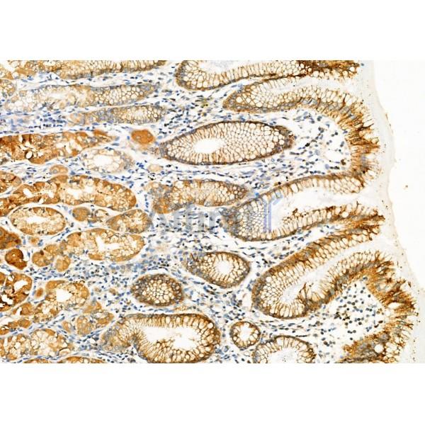 Валидация Affinity DF7038 - 18673