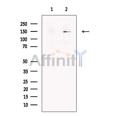 Валидация Affinity DF13255 - 8328