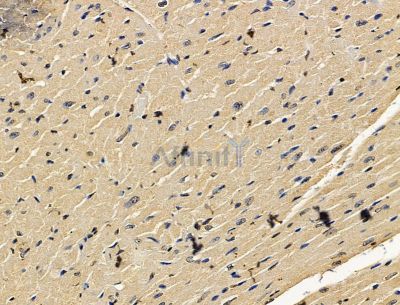 Валидация Affinity DF15254 - 11533