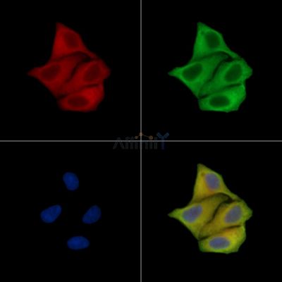 Валидация Affinity DF15655 - 12092