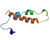 Chemokine Like Receptor 1 (CMKLR1) Chemokine Like Receptor 1 (CMKLR1)