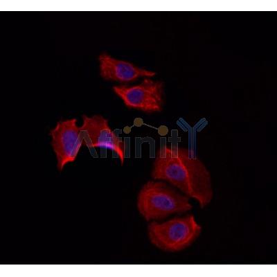 Валидация Affinity DF3526 - 14463