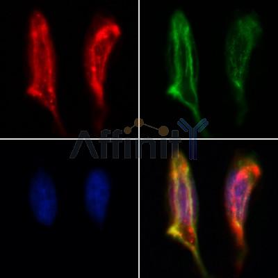 Валидация Affinity DF12250 - 6569