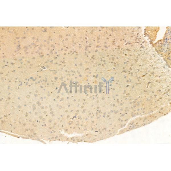 Валидация Affinity DF12107 - 6235