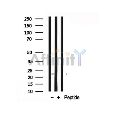 Валидация Affinity AF7858 - 4594