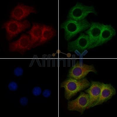 Валидация Affinity AF7827 - 4552