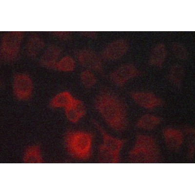 Валидация Affinity AF5366 - 2982