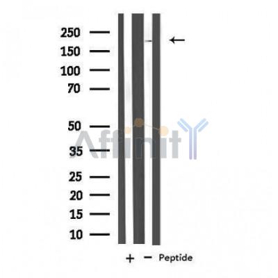Валидация Affinity DF4236 - 15616