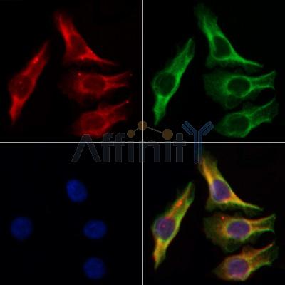 Валидация Affinity DF3108 - 13871