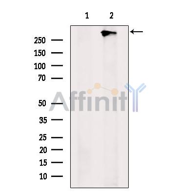 Валидация Affinity DF10016 - 5458