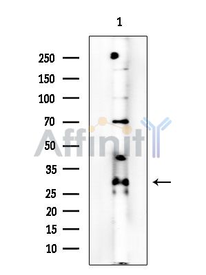Валидация Affinity DF5214 - 17209
