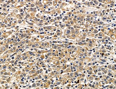 Валидация Affinity DF15666 - 12115