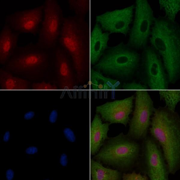 Валидация Affinity DF6200 - 17459