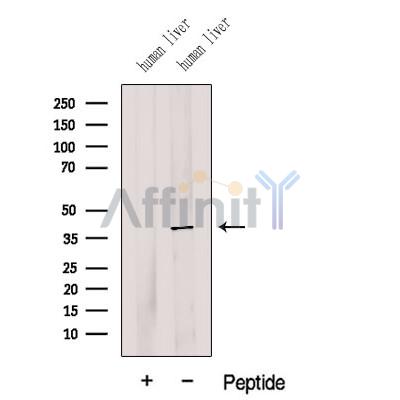 Валидация Affinity DF12610 - 7237