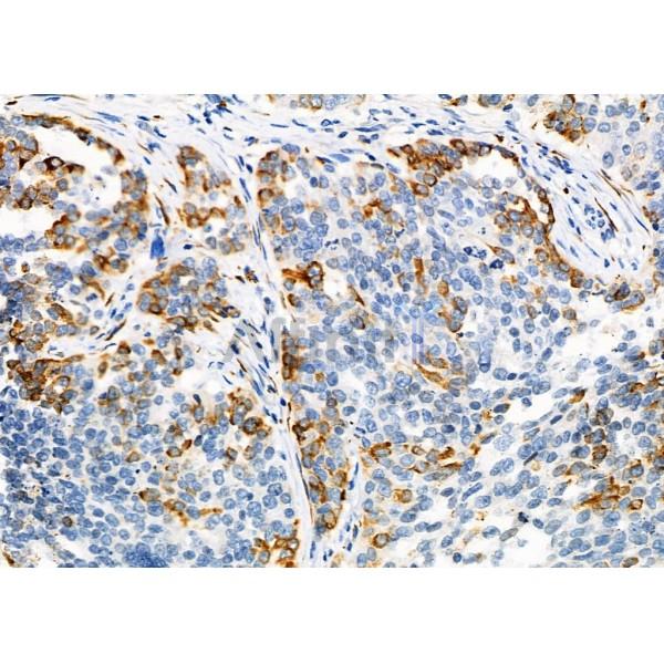 Валидация Affinity DF6455 - 17839