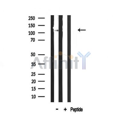 Валидация Affinity DF3552 - 14504