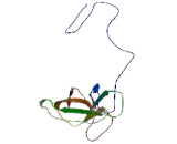 Interleukin 9 Receptor (IL9R) Interleukin 9 Receptor (IL9R)