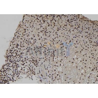 Валидация Affinity DF12271 - 6607