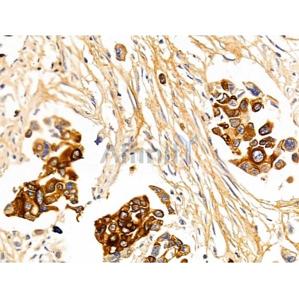 Валидация Affinity AF5478 - 3151