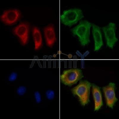 Валидация Affinity DF13569 - 9029