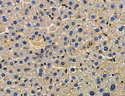 Валидация Affinity DF15964 - 12488