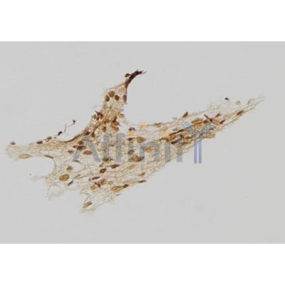 Валидация Affinity DF2311 - 12877