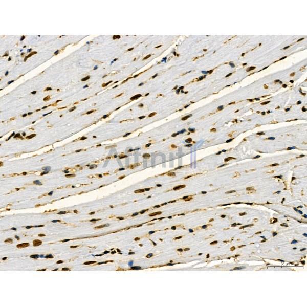 Валидация Affinity DF3983 - 15209