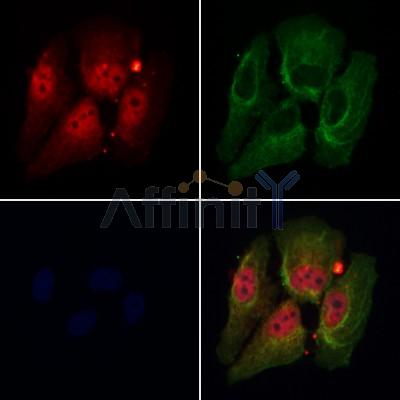 Валидация Affinity DF12935 - 7691