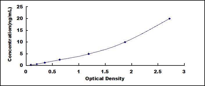 62062
