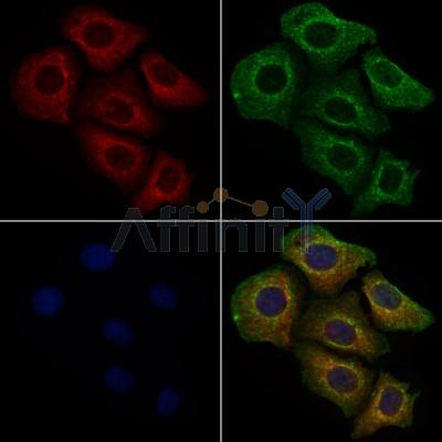 Валидация Affinity DF8525 - 20401