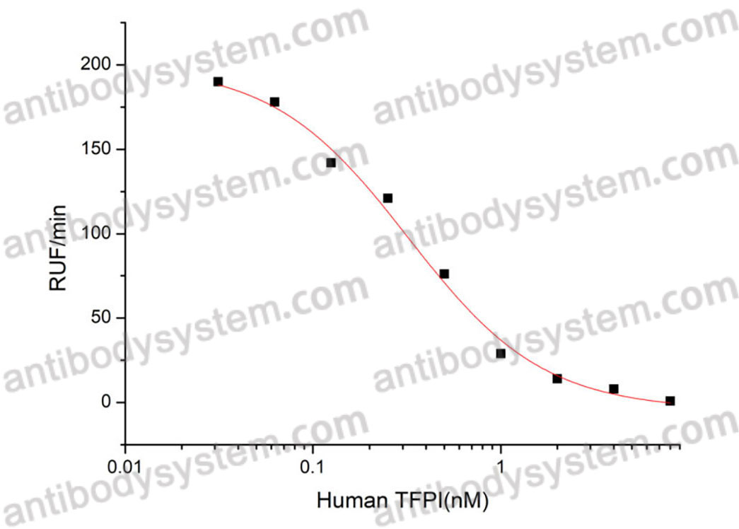 Валидация активности AntibodySystem AHC82801
