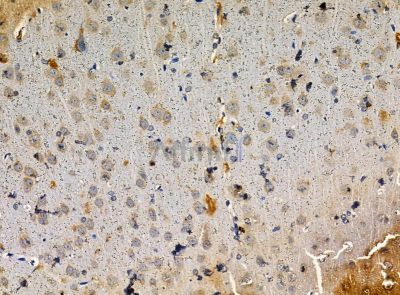 Валидация Affinity DF14292 - 10168