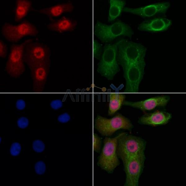 Валидация Affinity DF3363 - 14237