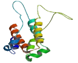 Interferon Alpha 13 (IFNa13) Interferon Alpha 13 (IFNa13)