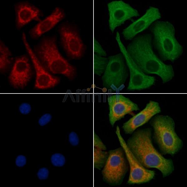 Валидация Affinity AF9117 - 4901
